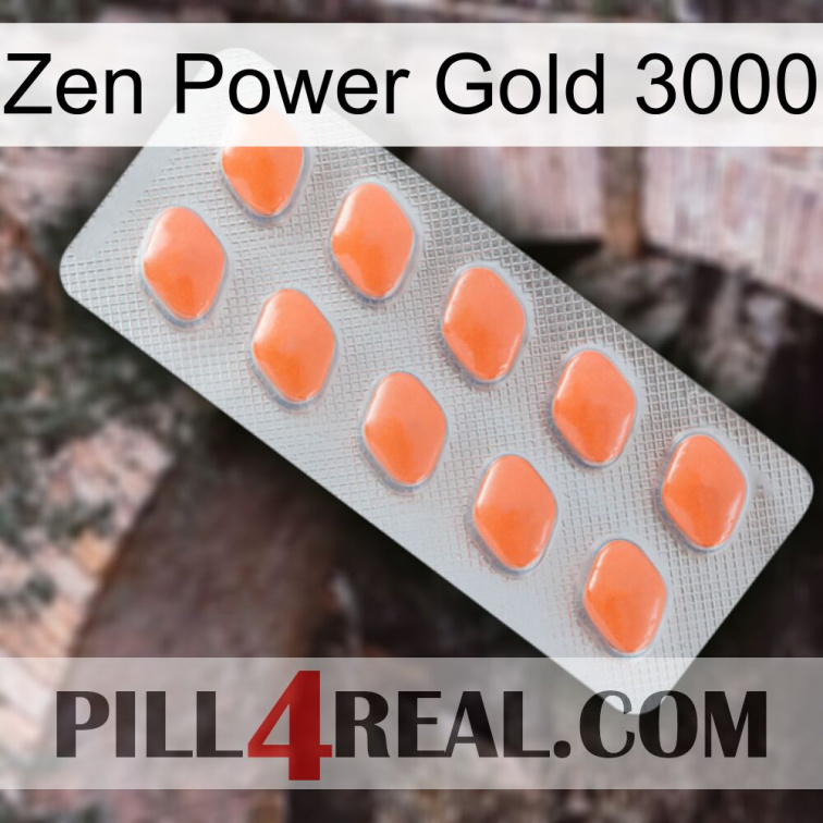 Zen Power Gold 3000 26